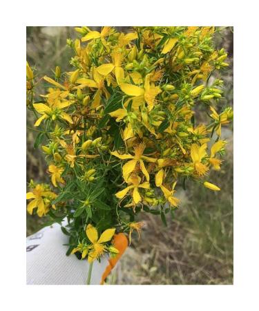 BEYPAZARI LOCAL PRODUCTS St. John's Wort Oil 100 ml - Buy Online on GoSupps.com