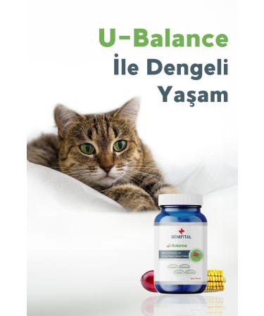 Benifital U-Balance Tablet Urinary System Support Vitamin Tablet for Cats and Dogs - Buy Online on GoSupps.com