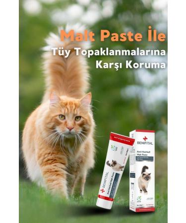 Benifital Malt Paste 100 Gr Prebiotic Malt Paste Supporting Prevention of Cat Hairballs No Added Sugar - Buy Online on GoSupps.com