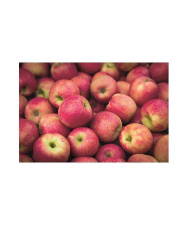 Aunt Sevin Natural Fermentation Apple Cider Vinegar Apple Cider Vinegar 500ml. (FOR DRINKING RAW) - Buy Online on GoSupps.com