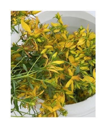 BEYPAZARI LOCAL PRODUCTS St. John's Wort Oil 100 ml - Buy Online on GoSupps.com