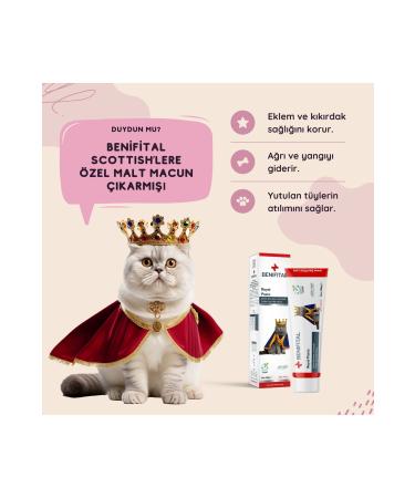 Benifital Royal Paste 100 gr British and Scottish Fold Joint and Muscle System Support Premium Malt - Buy Online on GoSupps.com