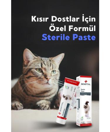 Benifital Sterile Paste 100 gr Vitamin and Mineral Malt Paste for Sterilized Cats - Buy Online on GoSupps.com