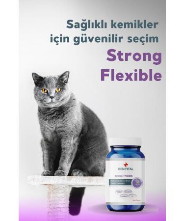 Benifital Strong & Flexible Tablet Glucosamine Tablet for Cats and Dogs Joint Health Support - Buy Online on GoSupps.com
