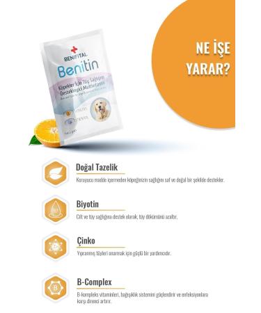 Benifital Benitin Multivitamin Suspension for Dogs Hair Health Support Hair Loss Prevention Biotin - Buy Online on GoSupps.com