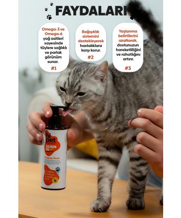 Salmon Oil for HiPet Cats - Buy Online on GoSupps.com