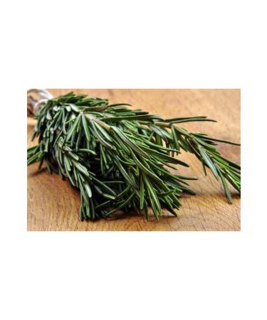 ZOVALE AGRICULTURE Rosemary Tea 250 gr