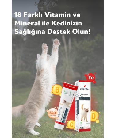 Benifital Cat Immune Booster Set I-Defender + Multivitamin Paste - Buy Online on GoSupps.com