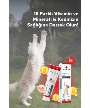 Benifital Multivitamin Paste 100 G. Multivitamin Malt Paste for Cats Vitamin B C D Iron Calcium - Buy Online on GoSupps.com