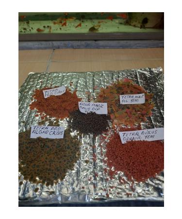 Tetra aquarium fish food mixed 25 gr - Buy Online on GoSupps.com