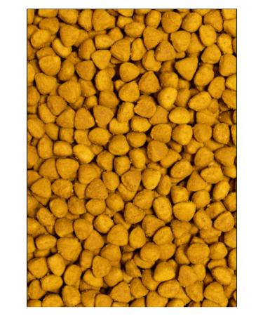 Psittacus High Energy Production 3 Kg - Buy Online on GoSupps.com