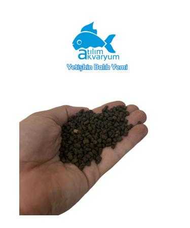 At l m Aquarium Big Fish Food High Protein Fish Food 250 Grams