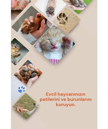 Spoodle Natura Organic & Vegan Natural Paw/Nose Protection Repair Care Cream Balm-paw Balm 50ml for Dogs and Cats - Buy Online on GoSupps.com