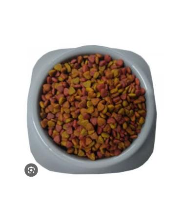 Roxin Chicken Adult Multicolored Cat Food 6 Kg