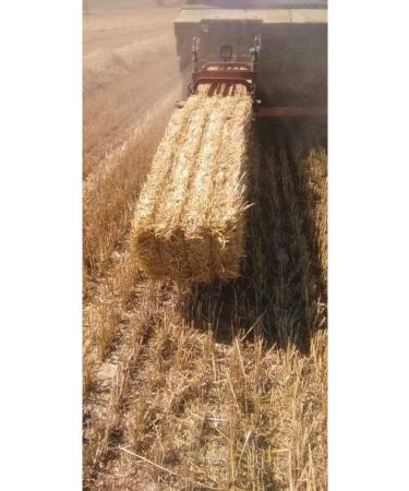 Bilen 2 Kg Bale Straw Barley Wheat - Buy Online on GoSupps.com