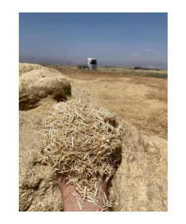 Bilen 2 Kg Bale Straw Barley Wheat - Buy Online on GoSupps.com