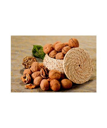 YOU WILL TASTE Shelled Walnuts 500 gr