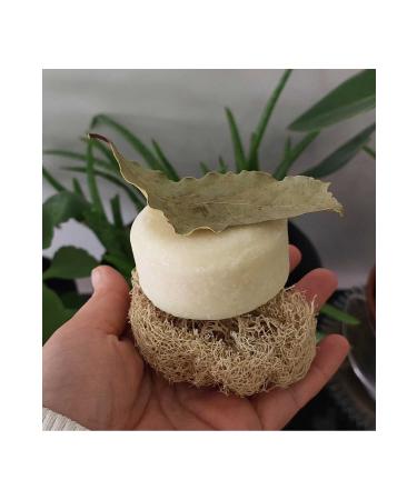 ANTIQUE NATURAL SOLID SHAMPOO - Buy Online on GoSupps.com