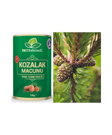 DRNATURAL Pine Cone Paste Pine Cone Paste 240 Gr. (3 PIECES) - Buy Online on GoSupps.com