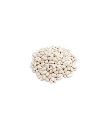  ZSARI Dermason Beans 8mm 5 Kg - Buy Online on GoSupps.com