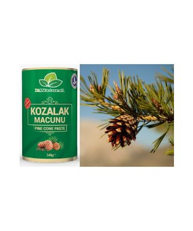 Pine Cone Paste Pine Cone Paste 240 Gr. - Buy Online on GoSupps.com