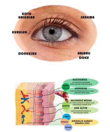 ESHUMI Eye Contour Care Set. Dark Circle and Wrinkle Cream Containing Snail Extract & Pure Collagen - Buy Online on GoSupps.com