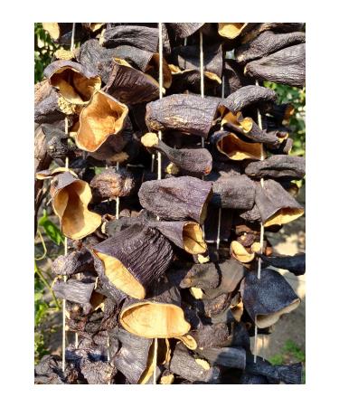 ORGANICGIDABK Dried Eggplant for Stuffing (50PCS) (2024) - Buy Online on GoSupps.com
