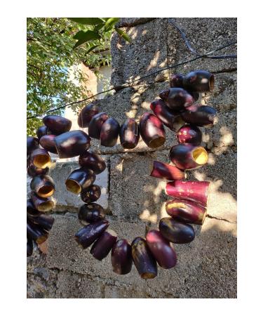 ORGANICGIDABK Dried Eggplant for Stuffing (50PCS) (2024) - Buy Online on GoSupps.com