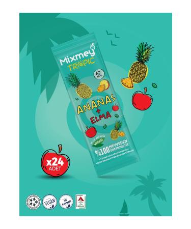 Mixmey Pineapple Fruit Bar | Tropical Pineapple Natural Flavors - 20gr X 24 Pieces