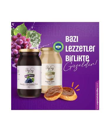 Organic Windy Valley Organic Grape Molasses & Organic Tahini Ecocert Certified No Added Sugar (Grape Molasses 460g) - Buy Online on GoSupps.com