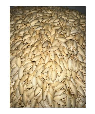 ROASTED UNSALTED PUMPKIN SEEDS 500 GR