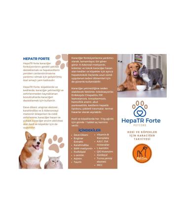 PetCore Hepatr - 100 Capsules - Liver Function Supporting Premix Food for Cats and Dogs - Buy Online on GoSupps.com