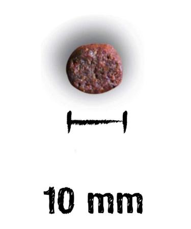 LEONARDO Adult Lamb 2 Kg Lamb Meat Cat Dry Food for Adult Cats - Buy Online on GoSupps.com