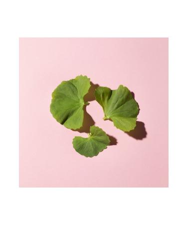 erborian Cc Dull Correct - Travel Size Cc Cream - Buy Online on GoSupps.com