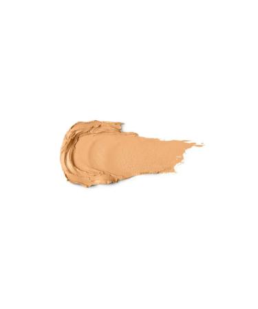 KIKO ACTIVE 16 HOURS LASTING STICK FOUNDATION - Buy Online on GoSupps.com