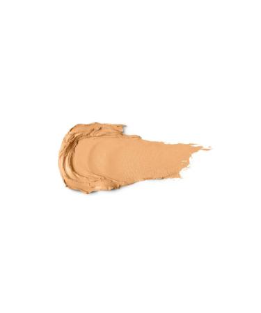 KIKO ACTIVE 16 HOURS LASTING STICK FOUNDATION - Buy Online on GoSupps.com