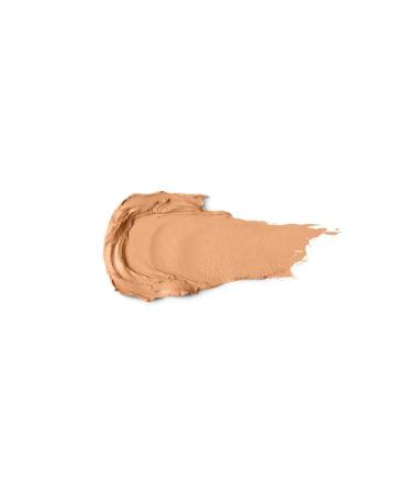 KIKO ACTIVE 16 HOURS LASTING STICK FOUNDATION - Buy Online on GoSupps.com