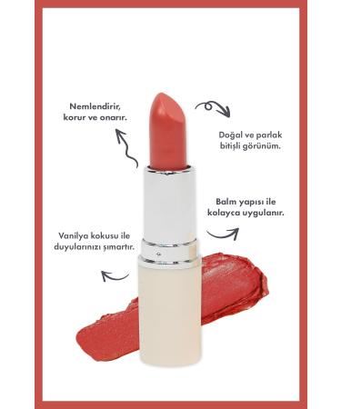 Farmasi Bb Glaze Lipstick 04 Deep Beige 4 gr - Buy Online on GoSupps.com