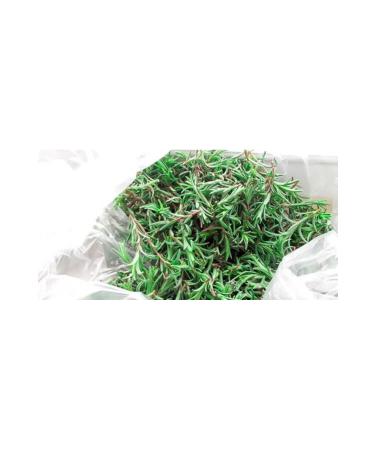 NATURE'S BLESSING ZAHTER WILD THYME - MOUNTAIN THYME ORGANIC 1 KG - Buy Online on GoSupps.com