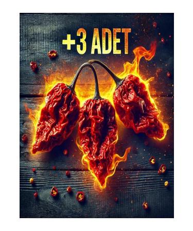 Tohumcu Kikizade Bhut Jolokia The World's 2nd Hottest Pepper Dried Pepper 3 pieces