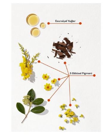 Phyto Color Hair Dye - 8.1 Ash Blonde - Buy Online on GoSupps.com