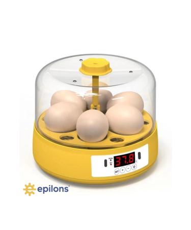 Mini Automatic Home Type Incubator: Electric Chicken And Bird Incubator 6 Eggs Mx-6 - Buy Online on GoSupps.com