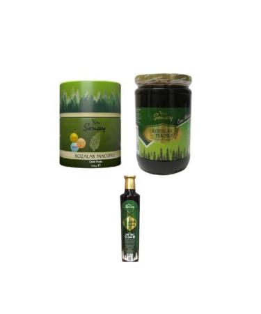 Senay Pine Cone Pine Cone001