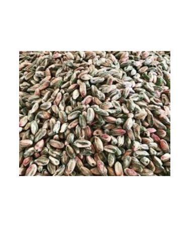 burfez 1. Quality Pistachio Inside (Gray Pistachio) 500 Gr