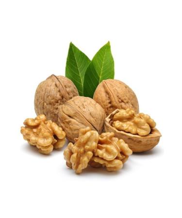 FAMOUS HEALING Chandler Walnut 1 kg New Crop