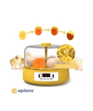 Mini Automatic Home Type Incubator: Electric Chicken And Bird Incubator 6 Eggs Mx-6 - Buy Online on GoSupps.com