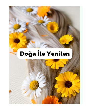 Ancient Healing Natural Hair Care Oil and Natural Rosemary Water Set Argan Jojoba Pine Turpentine Oil Rosemary Water - Buy Online on GoSupps.com