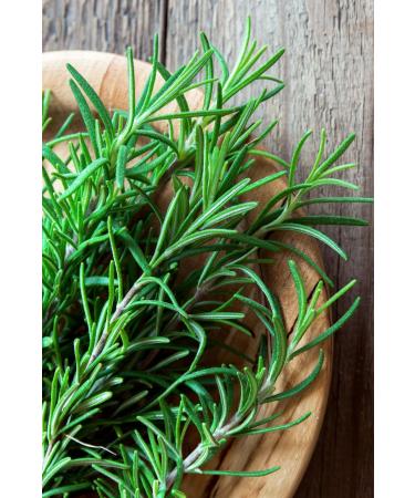 Ancient Healing Natural Hair Care Oil and Natural Rosemary Water Set Argan Jojoba Pine Turpentine Oil Rosemary Water - Buy Online on GoSupps.com