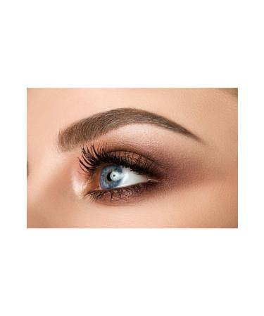 Hedgehog Eye Pencil - Eye Kohl Star 1.2 G (Sparkly Brown) - Buy Online on GoSupps.com