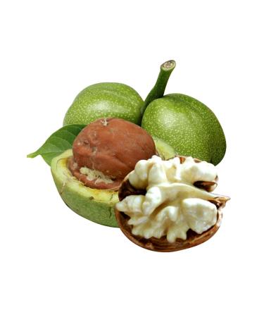 DAYE HATUN Kaman Walnut Vinegar / Walnut Vinegar (Naturally Fermented Live Vinegar / 500 Ml) - Buy Online on GoSupps.com